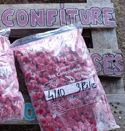 Congelées